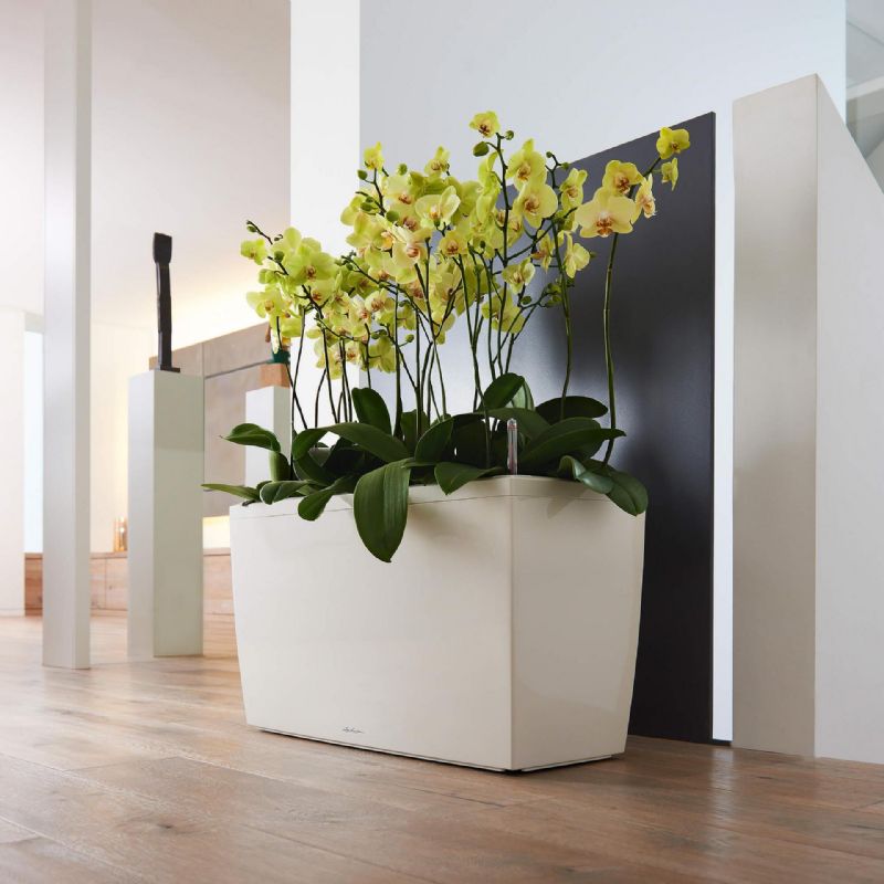 Lechuza CARARO Self Watering Planters  (White High Gloss)